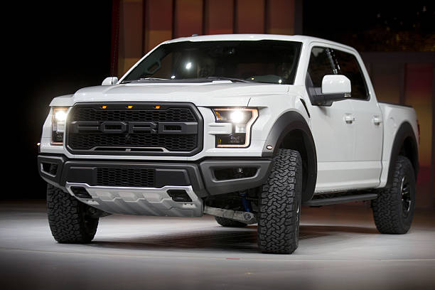 FORD F-150 image